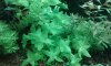20180617_112304-compressed.jpg