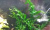 20180617_112338-compressed.jpg