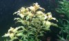 20180617_112433-compressed.jpg