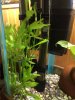 planta 1.jpg