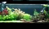 20180629_181720-compressed.jpg