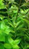 20180626_181719-compressed.jpg
