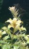 20180626_181724-compressed.jpg
