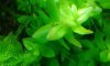 20180701_125512-compressed.jpg
