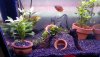 20180720_150656.jpg