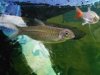 IMG_20180724_094331_528.jpg