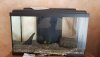 IMG-20180703-WA0019.jpeg