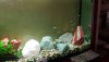 IMG-20180703-WA0004.jpeg
