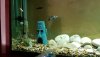 IMG-20180703-WA0009.jpeg