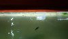 IMG-20180703-WA0006.jpeg