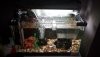 IMG-20180703-WA0013.jpeg