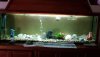 IMG-20180703-WA0000.jpeg