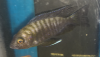 6D15D42D-1125-432A-AC73-C81A399F7DAC.png