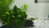 IMG_20180817_005733.jpg