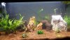 IMG-20180823-WA0008.jpeg