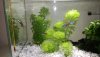 IMG-20180828-WA0001.jpg