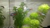 IMG-20180828-WA0002.jpg