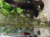 A4DDA196-5340-4050-82A2-DE2B4D7475F4.jpeg