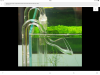 D4816091-6B1D-41DE-9B63-49A94CCDF9F6.png