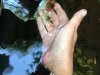 IMG-20180930-WA0004.jpg