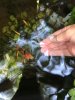 IMG-20180930-WA0005.jpg