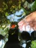 IMG-20180930-WA0008.jpg
