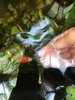 IMG-20180930-WA0009.jpg
