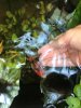 IMG-20180930-WA0010.jpg