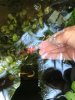 IMG-20180930-WA0011.jpg