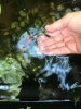 IMG-20180930-WA0012.jpg