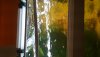 DSC_0171.JPG