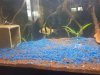 20181009_153858.jpg