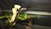 IMG-20181026-WA0002.jpg