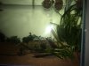 IMG-20181024-WA0003.jpg
