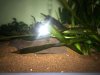 IMG-20181024-WA0002.jpg
