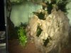 IMG-20181024-WA0001.jpg