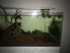 IMG-20181024-WA0000.jpg