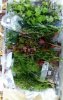 IMG-20181030-WA0003.jpg