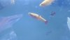 IMG_20181103_135307.jpg