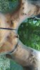 IMG-20181105-WA0007.jpeg