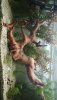 IMG-20181105-WA0005.jpeg