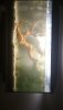 IMG-20181103-WA0019.jpeg