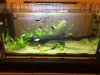 acuario2.jpg