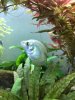 B7CE8D1C-EB37-4BD0-8705-142591AEEAE0.jpeg