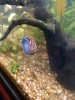 IMG_20181117_103018471_BURST001.jpg