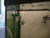 IMG-20190123-WA0001.jpg