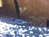 37690FC8-6D09-47ED-BC0E-C7971951EB08.jpeg