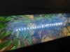 1550352223006..jpg