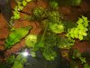 IMG-20190220-WA0014.jpg