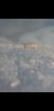 Screenshot_20190302-230742_Gallery.jpg